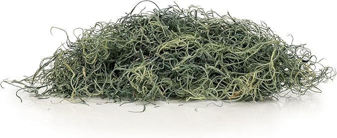 Premium Coconut Husk Chips and Fibers Mix for Orchids - 10 Quart - Houseplant, Monstera and Fiddle Leaf Fig by GARDENERA (2 Bags of 5 Quart)