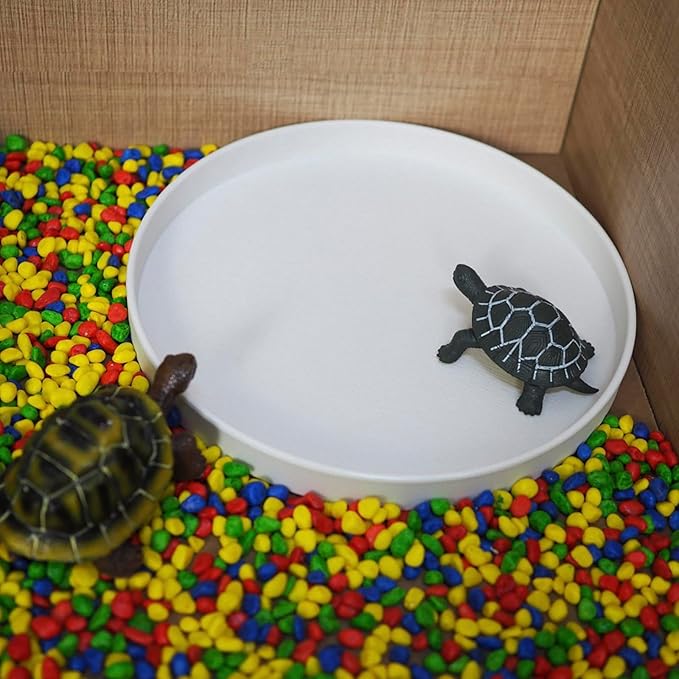 OMEM Reptile Food Bowl Water Dish,Feeding Dish, Birds Bowl (M, White)