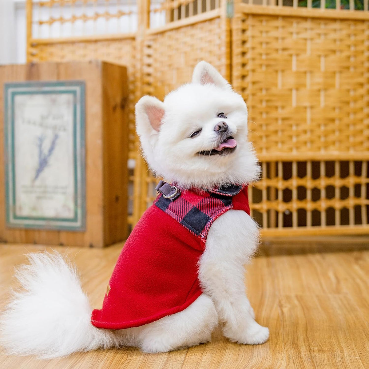 EXPAWLORER Fleece Dog Sweater - Classic Plaid Dog Jacket, Winter Coat Vest with 2 D-Rings for Leash, Pet Cold Weather Clothes, Sweatershirt for Boy or Girls