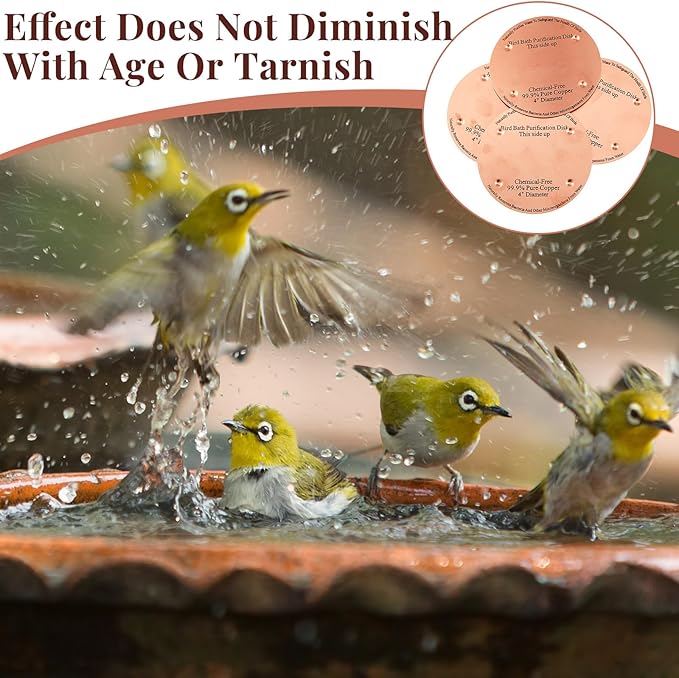 1 Pcs Bird Bath Copper Disk, 0.6mm Thick Reinforced 99.99% Pure Copper Birdbath Purification Disk, with 4 Point Support for Outdoor Birdbaths Bowls Cleaner, 4 Inch (Classic)