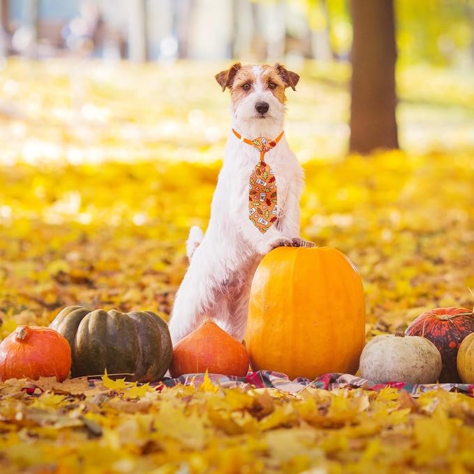 22pcs Fall Dog Bow Tie, Adjustable Bowtie Collar Attachment for Small Medium Pets, Bulk Neckties Set for Thanksgiving Day,Autumn Pet Supplies Charms Hair Costume Accessories(Maple Leaf, Pumpkin)