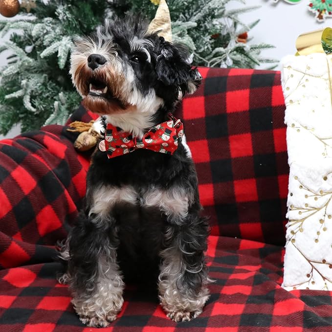 Christmas Dog Collar with Bow Tie, Christmas Collar for Puppy Girl Boy Dog or Cat, Bowtie Dogs Collars with Durable Metal Buckle, Cute Pet Collars, M