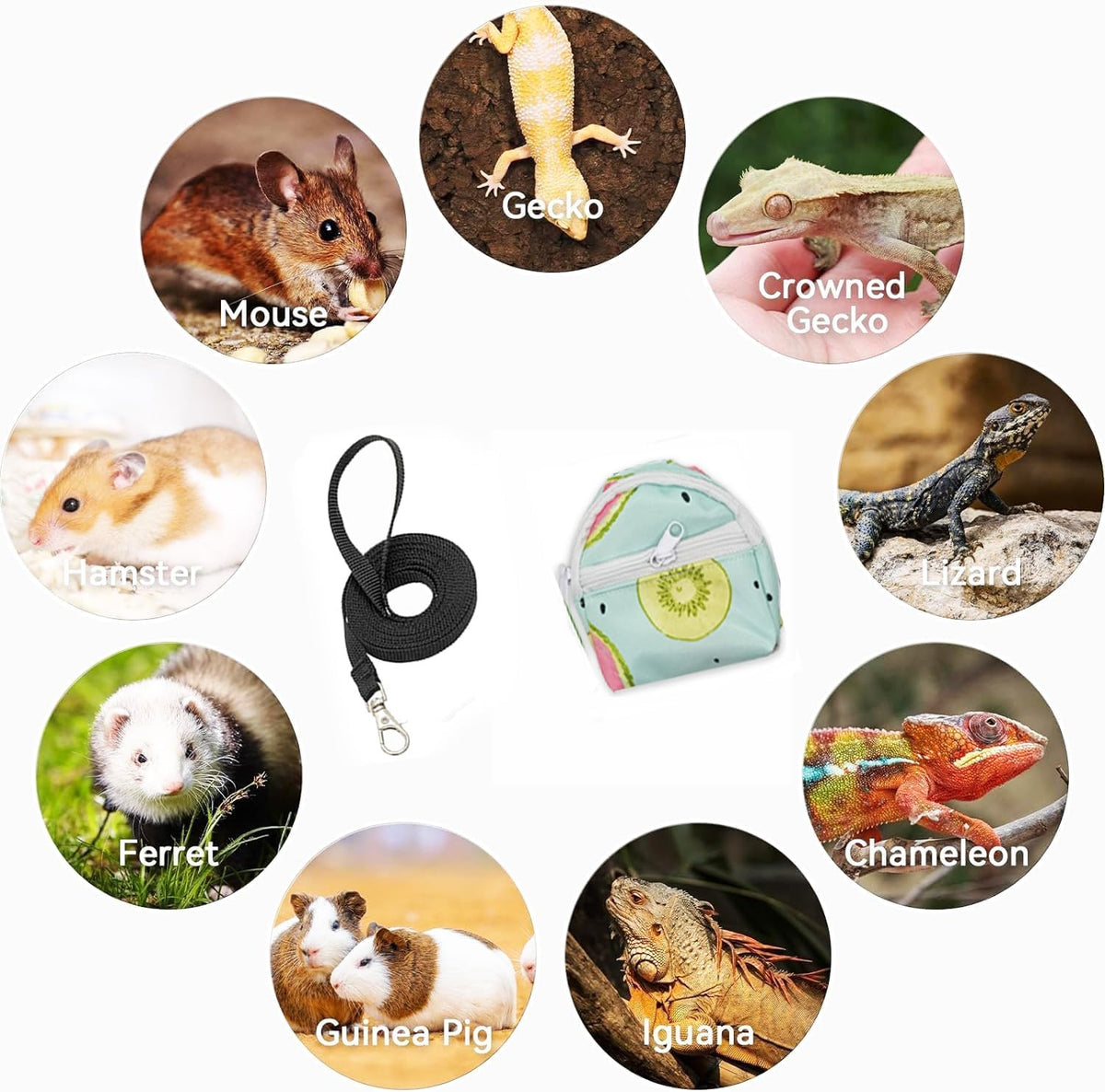 Bearded Dragon Backpack Carrier,Reptile Portable Backpack Carrier with Small Backpack Harness Leash Set,Space Capsule Clear Bubble Window Travel Backpack for Lizard Travel,Guinea Pig,Rabbit