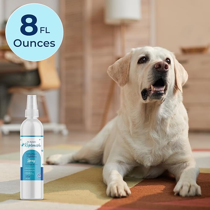 Replenish Antiseptic Spray for Dogs β Medicated Anti Itch Spray for Pets β Chlorhexidine & Ketoconazole Pet Spray β Dog Itching Skin Relief - Antiseptic Spray for Cats Skin Allergy β 8 oz