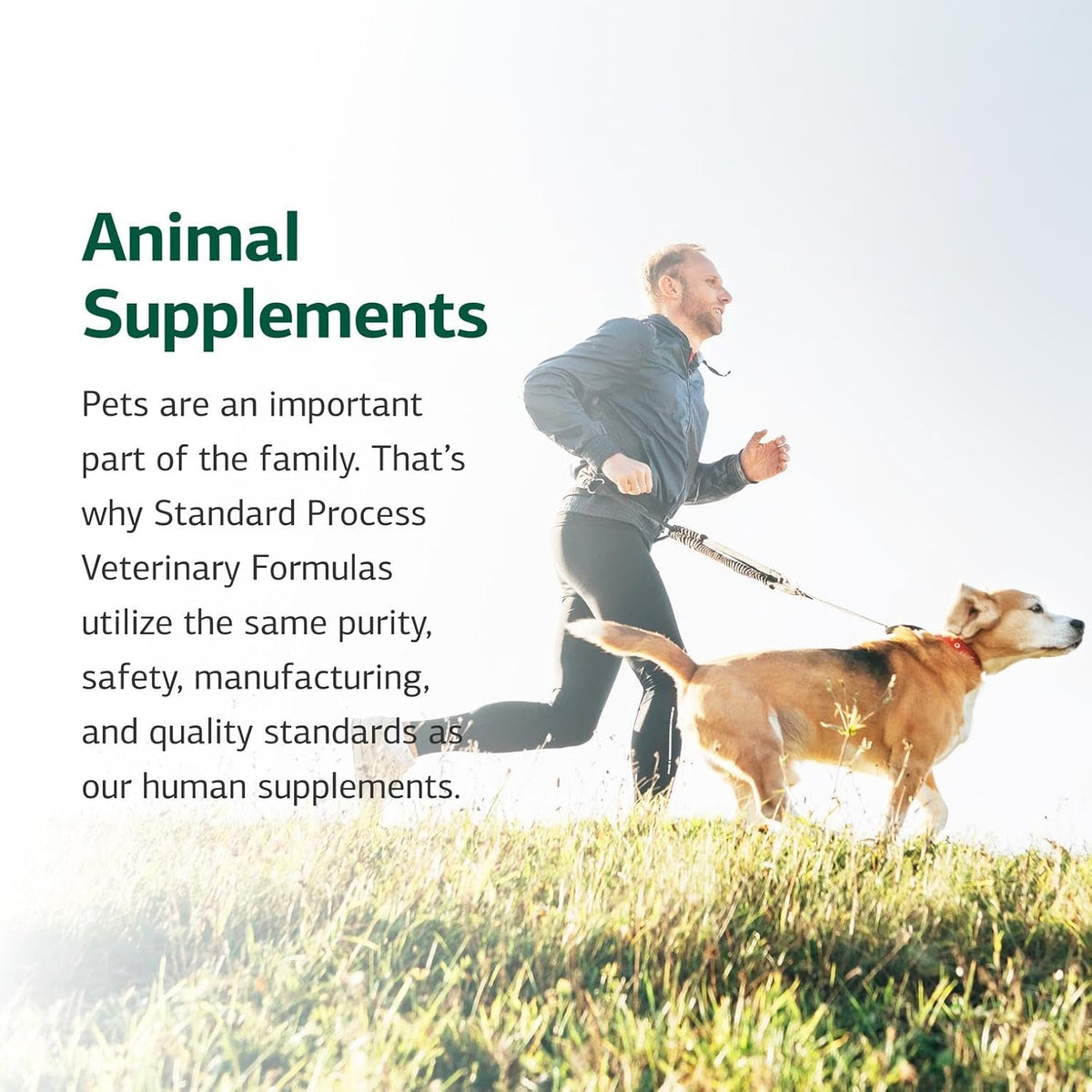Standard Process Inc. Canine Dermal Support - Skin & Adrenal Gland Supplement - Comprehensive Skin Health Supplement for Dogs - Daily Immune & Liver Support Powder - 125 g