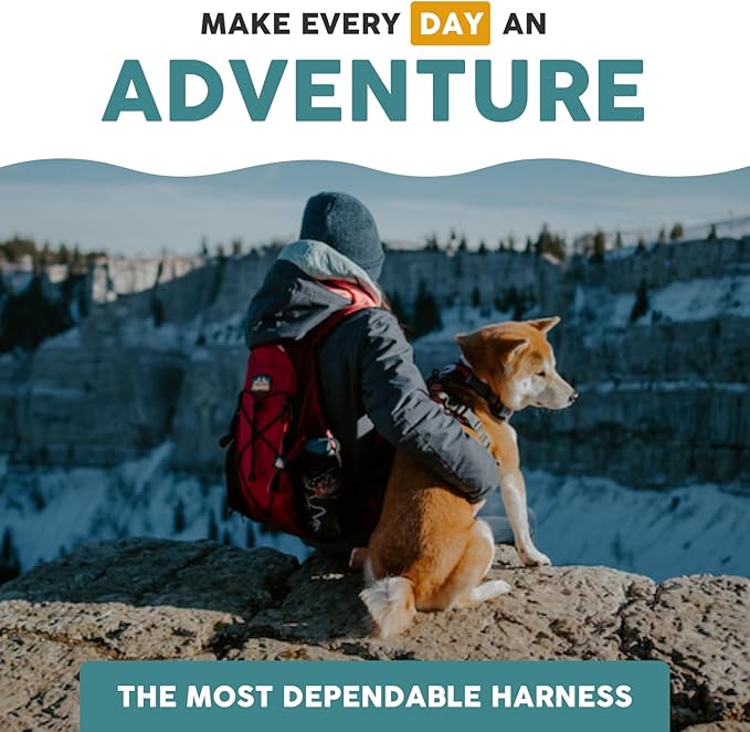 Embark Adventure Dog Harness, Reflective Trim XL Dog Harness for Extra Large Dogs No Pull - Military Grade Nylon, 2 Leash Clips & Gel Lined Handle.