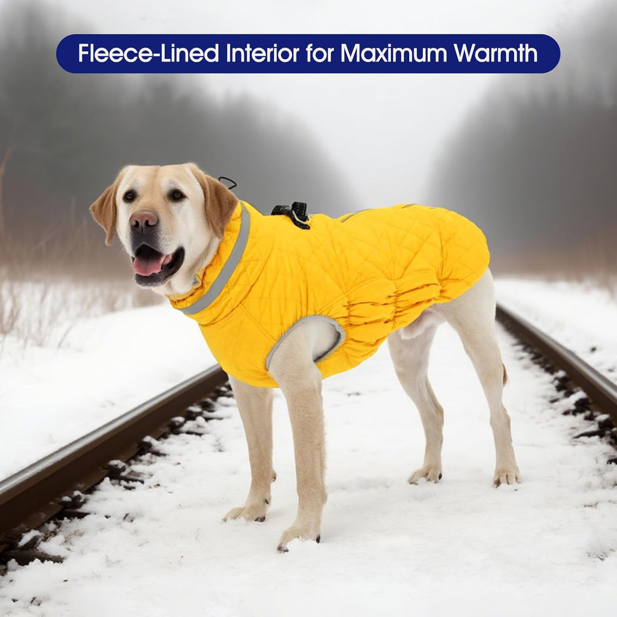 FUAMEY Dog Coat for Medium Dogs,Waterproof Dog Winter Jacket with Harness Built in Puppy Cold Weather Coats Reflective Pet Vest with Zipper Warm Fleece Dogs Snowsuit Windproof Yellow M
