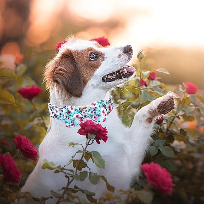 Elegant little tail Dog Collar, Rose Print Pet Collar Summer Dog Collar Durable Metal Buckle Dog Collars Cotton Pet Adjustable Dog Collars for Medium Dogs