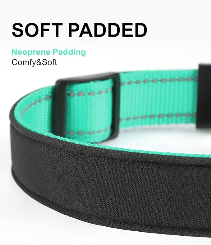 TagME Airtag Dog Collar,Waterproof Reflective Pet Collar with Airtag Holder,Soft Padded and Double D-Rings for Medium Dogs,Turquoise