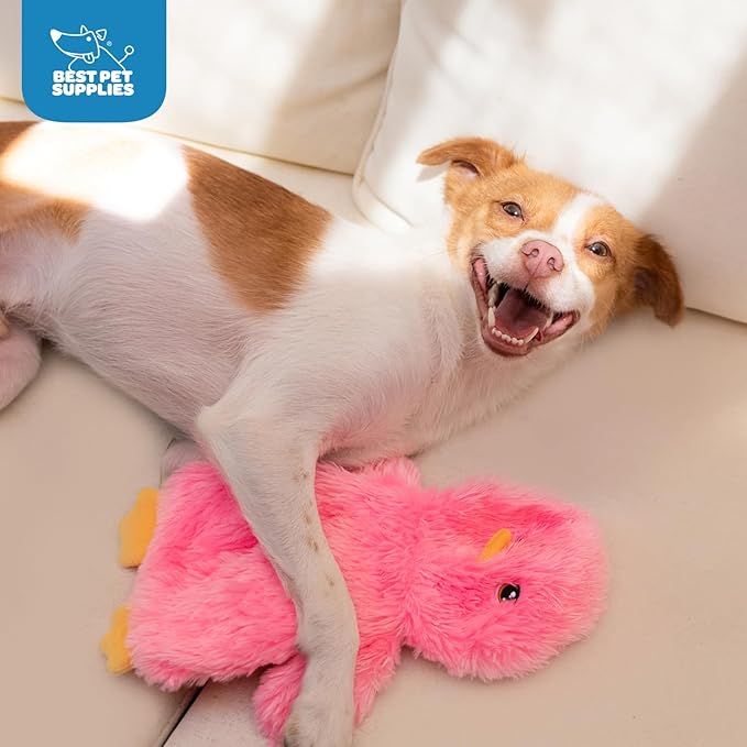 Best Pet Supplies Interactive Squeaky Dog Chew Toy, Ideal Dog Toys for Chewers, Small, Medium & Large Dogs, and Fetch Lovers - Crinkle Chicken (Pink), Large