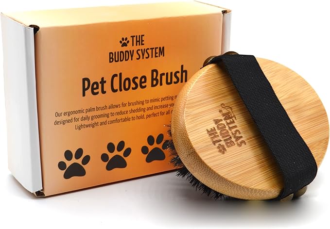 The Buddy System Pet Close Brush, Soft Touch Oval Palm Brush - Bamboo Massage Handheld with Soft Boar Bristles and Elastic Band for Dogs and Cats