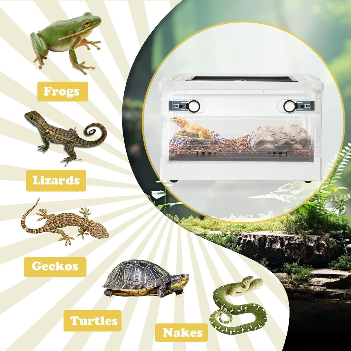 PINVNBY Plastic Reptile Feeding Box with Wheels,Reptiles Breeding Enclosure Cages Transparent Amphibians Habitat Terrarium Tank Portable Transport Container for Lizard,Bearded Dragon(White)