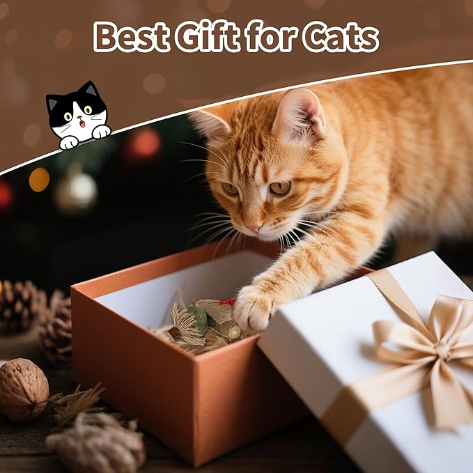 Catnip Toy for Indoor Cats Silvervine Sticks Scarecrow