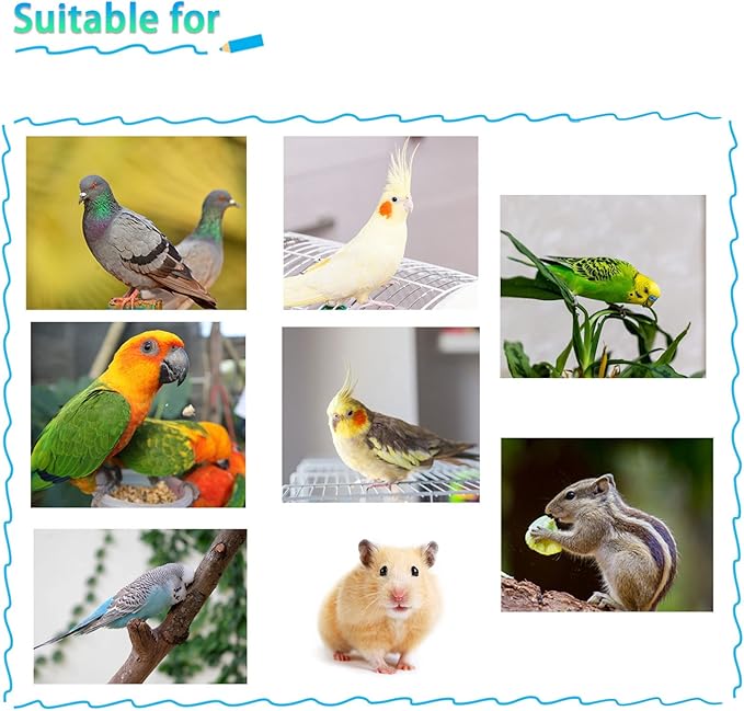 kathson Bird Feeding Dish Cups,Large Stainless Steel Parrot Food Water Bowl,Parakeet Feeder Birds Cage Ball Toys with Clamp Holder for Cockatiel Budgies Macaw Small Animal Chinchilla(7 Pcs)