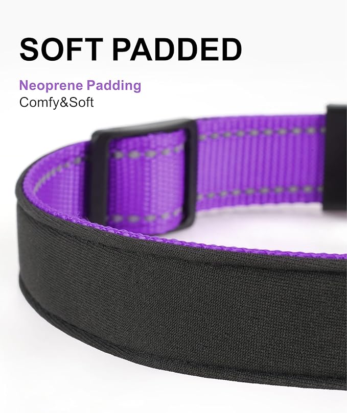 TagME Airtag Dog Collar,Waterproof Reflective Pet Collar with Airtag Holder,Soft Padded and Double D-Rings for Large Dogs,Purple