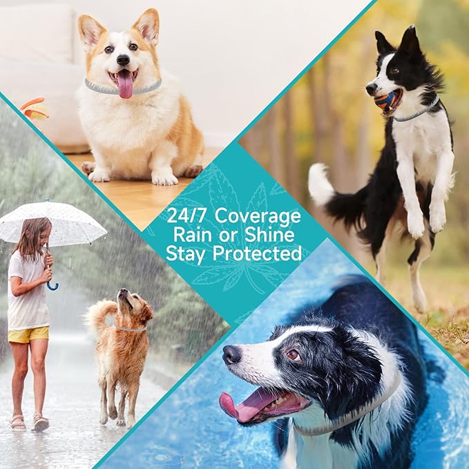 Flea and Tick Prevention for Dogs, 4 Pack Flea Collar for Dogs, Dog Flea and Tick Treatment, 32 Months Protection, Waterproof, Adjustable Collar for Dog, One Size Fits All for All Breeds, Grey