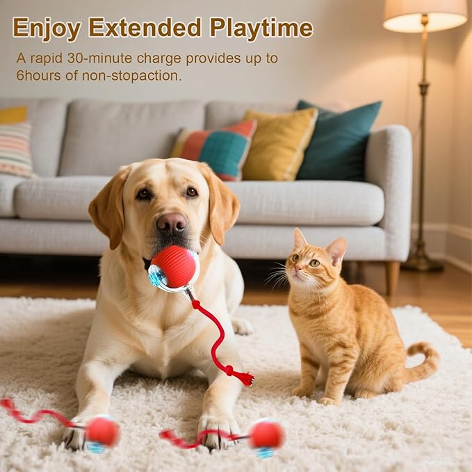 Interactive Cat Toy, 2025 New Interactive Rolling Cats Dog Toy Balls 360° Smart Automatic Rolling Pet Ball, Fast Moving Toy for Dog,Cat Ball Toy (Grey)