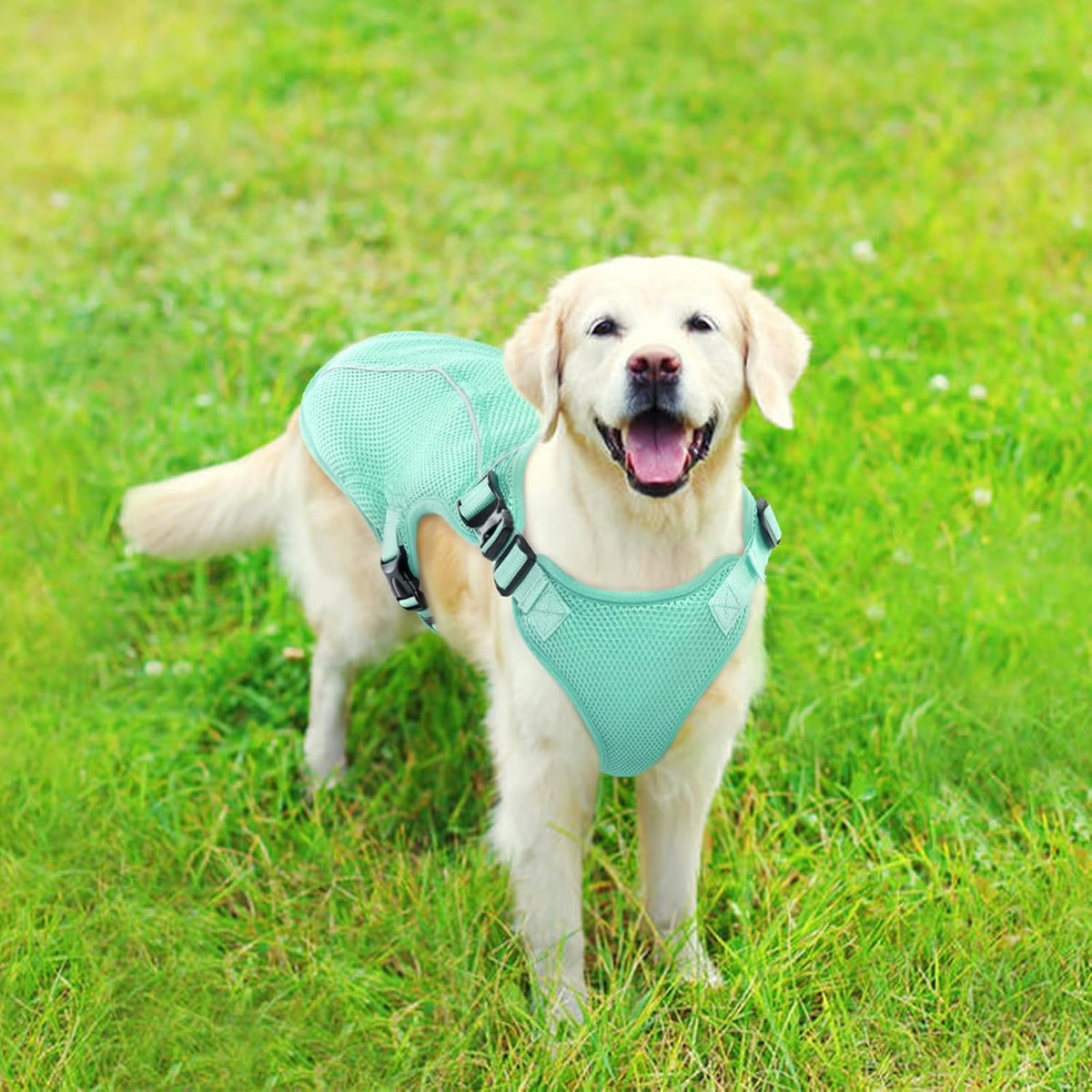 Kuoser Dog Cooling Vest, Puppy Cooling Coat,Breathable Cool Coat for Medium Dogs, Pet Jackets Reflective Summer Essentials Green M