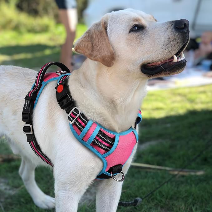 rabbitgoo Dog Harness for Large Dogs, No Pull Pet Vest with 3 Buckles, Adjustable Soft Padded Pet Harness with Easy Control Handle and Reflective Strips, Rose Pink & Blue, L