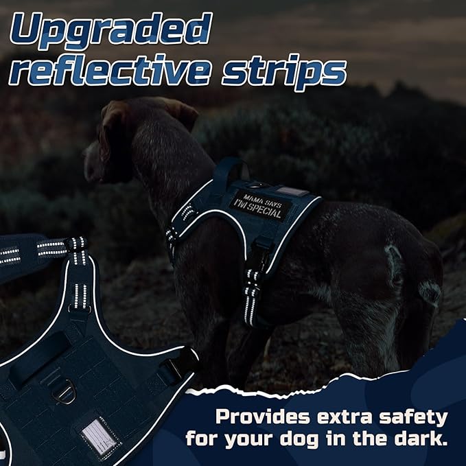 rabbitgoo Tactical Dog Harness for Small Dogs, No Pull Military Service Vest with Handle & Molle, Easy Control for Training Walking, Adjustable Reflective Straps, Blue, S