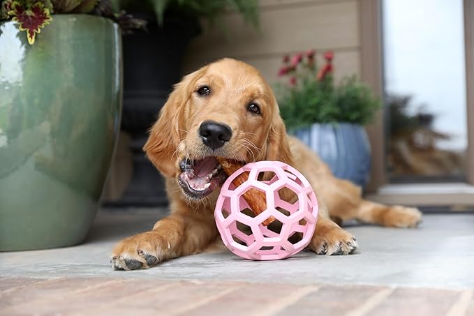 JW Pet HOL-ee Roller™, Dog Toy Puzzle Ball, Natural Rubber, Large (5.5” Inch Diameter), Pink