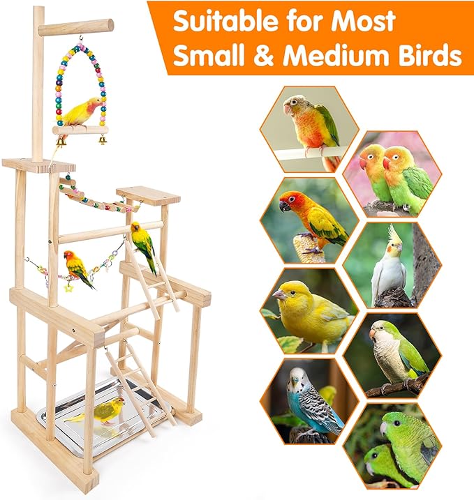 Bird Playground 4 Layer, Parrot Perch Stand Bird Play Stand for Parakeet Conure Cockatiel Lovebird Budgie, Parrot Playground with Feeder Cups, Ladder, Chain Toy, Swing and Detachable Tray