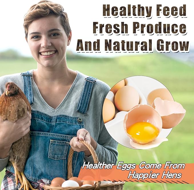 Dried Black Soldier Fly Larvae 10LBS, 85X More Calcium Than Mealworms High-Protein BSF Larvae Chicken Treats Non-GMO BSFL for Chickens, Hens, Ducks, Wild Birds