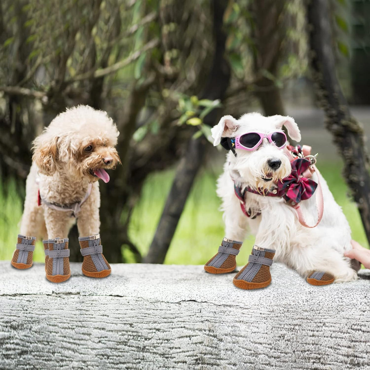 Dog Shoes for Small Dogs, Puppy Dog Boots & Paw Protector for Winter Snow Day, Summer Hot Pavement, Waterproof in Rain Weather, Ourdoor Hiking, Indoor Hardfloors with Anti Slip Sole 4PCS/Set