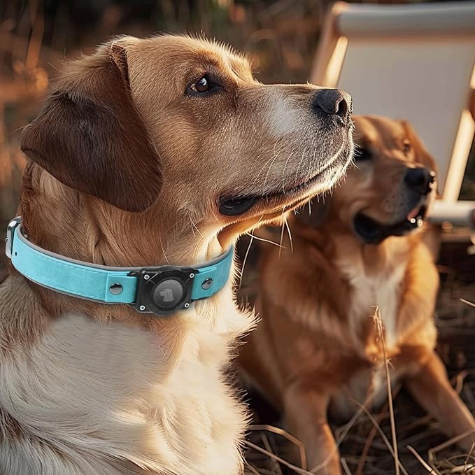 AirTag Dog Collar - Leather Dog Collar with Air Tag Holder | IPX8 Waterproof, Reflective, High - End, Adjustable Soft Padded | Dog GPS Tracker Collars Fit for Medium Large Dogs (Light Blue, L)