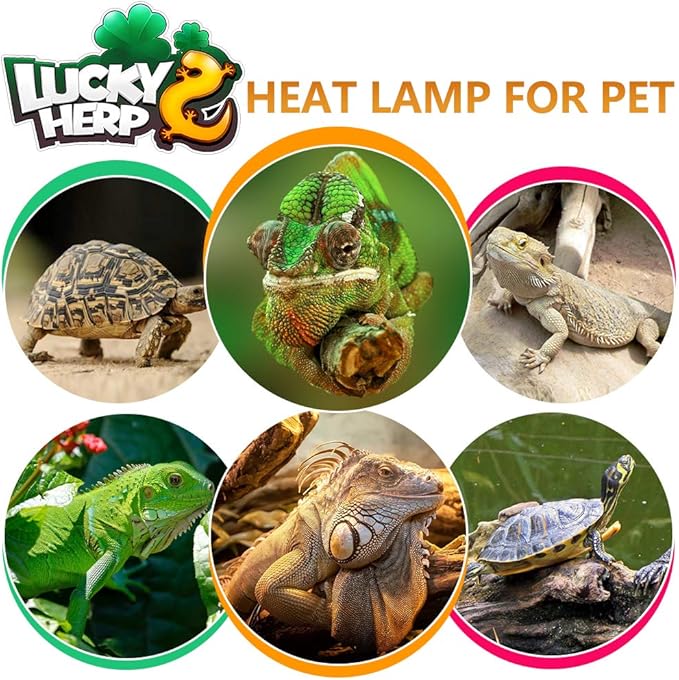 LUCKY HERP 100 Watt UVA UVB Full Spectrum Vapor Heat Lamp Bulb, Self-Ballasted UV Heat Lamp/Bulb/Light for Reptile and Amphibian, Sun Lamp for Bearded Dragon Lizard Turtle(Coated)