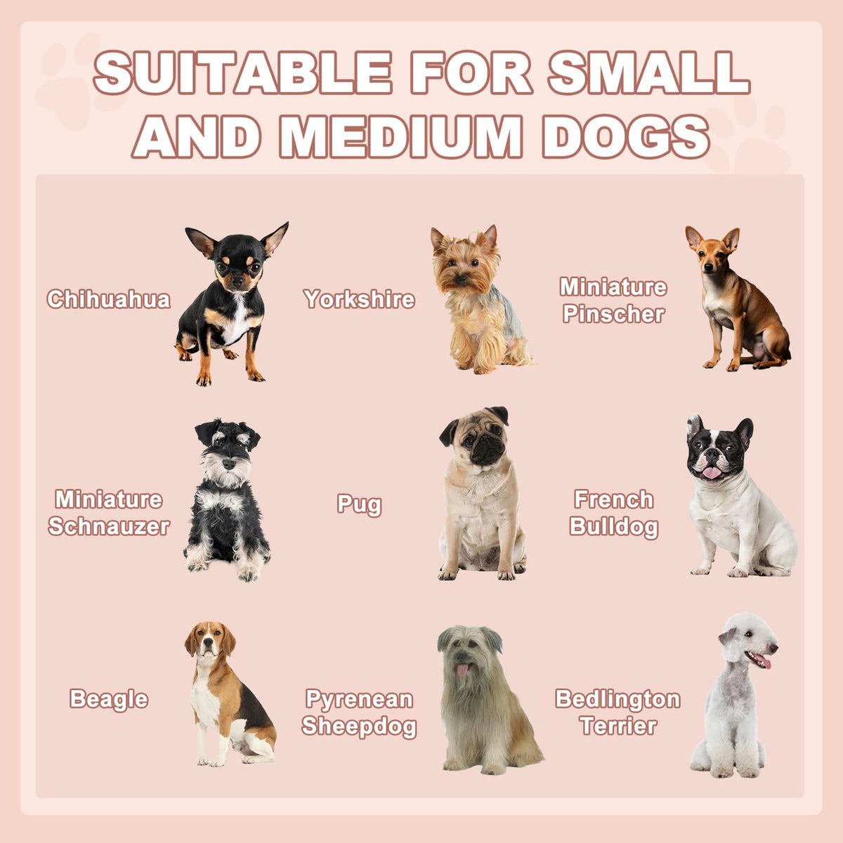LEMBERI Outdoor Rattan Dog House with Canopy, Indoor Dog Bed for Small/Medium Dogs with Removable Cushion, Washable Cover, Dog Shelter for Patio, Deck, Yard, Pool, Black