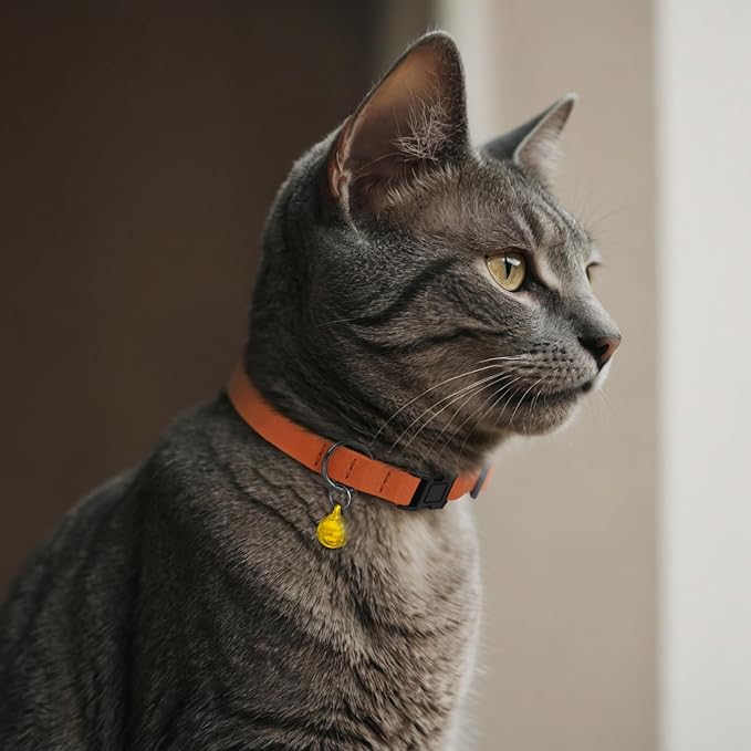 Breakaway Cat Collar Leather with Removable Bell - 13 Colors Available - Soft Adjustable Girl Boy Safety Lightweight Pet Kitten Collars Pink Brown Blue Green Red Orange Black (Blue)