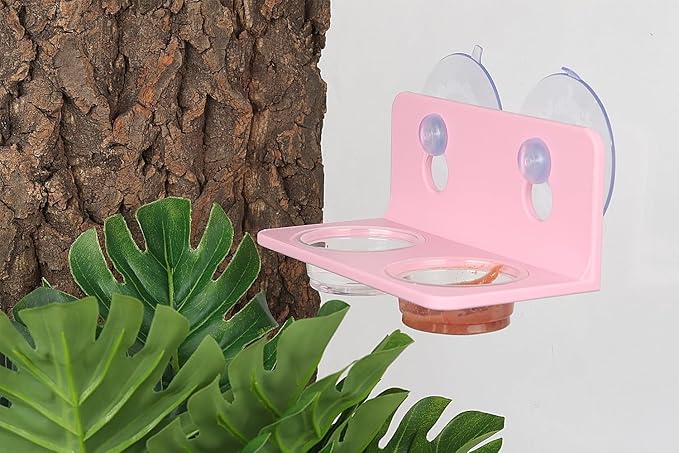 Crested Gecko Feeding Ledge with 10PCS Gecko Food Dish - Pink