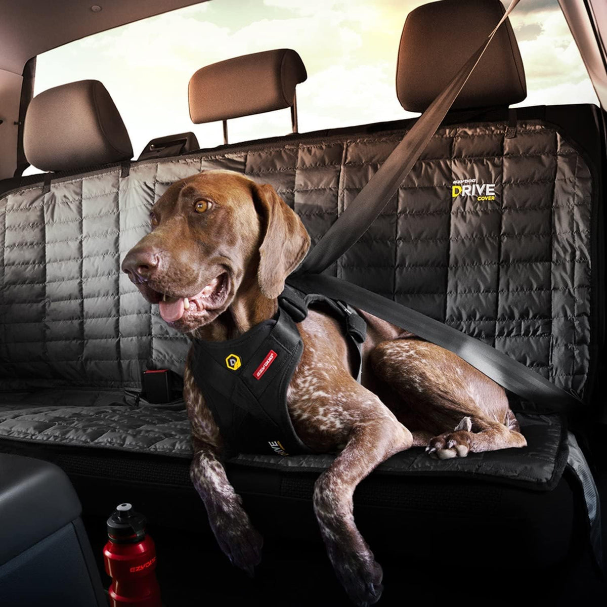 Ezydog Drive Dog Car Harness – Crash Tested and Certified (US-FMVSS 213) Dog Seat Belt Harness for Safe Travel, Adjustable with Padded Comfort (Medium)