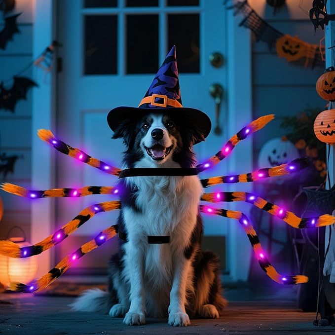 OurWarm Dog Halloween Costume for Large Dogs, 64 LED Furry Giant Dog Spider Costume Funny Pet Halloween Costumes for Big XL Large Breed Pet Party Cosplay Decor(Orange)