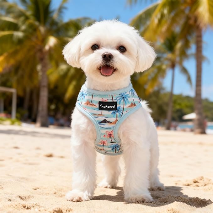 SCENEREAL Small Dog Harness and Leash Collar Set - No Pull Dog Harness for Small & Medium Sized Dogs - Soft Mesh Vest for Puppies, Chihuahua, Yorkie, Spring Summer Hiking Walking, Coconut Tree M