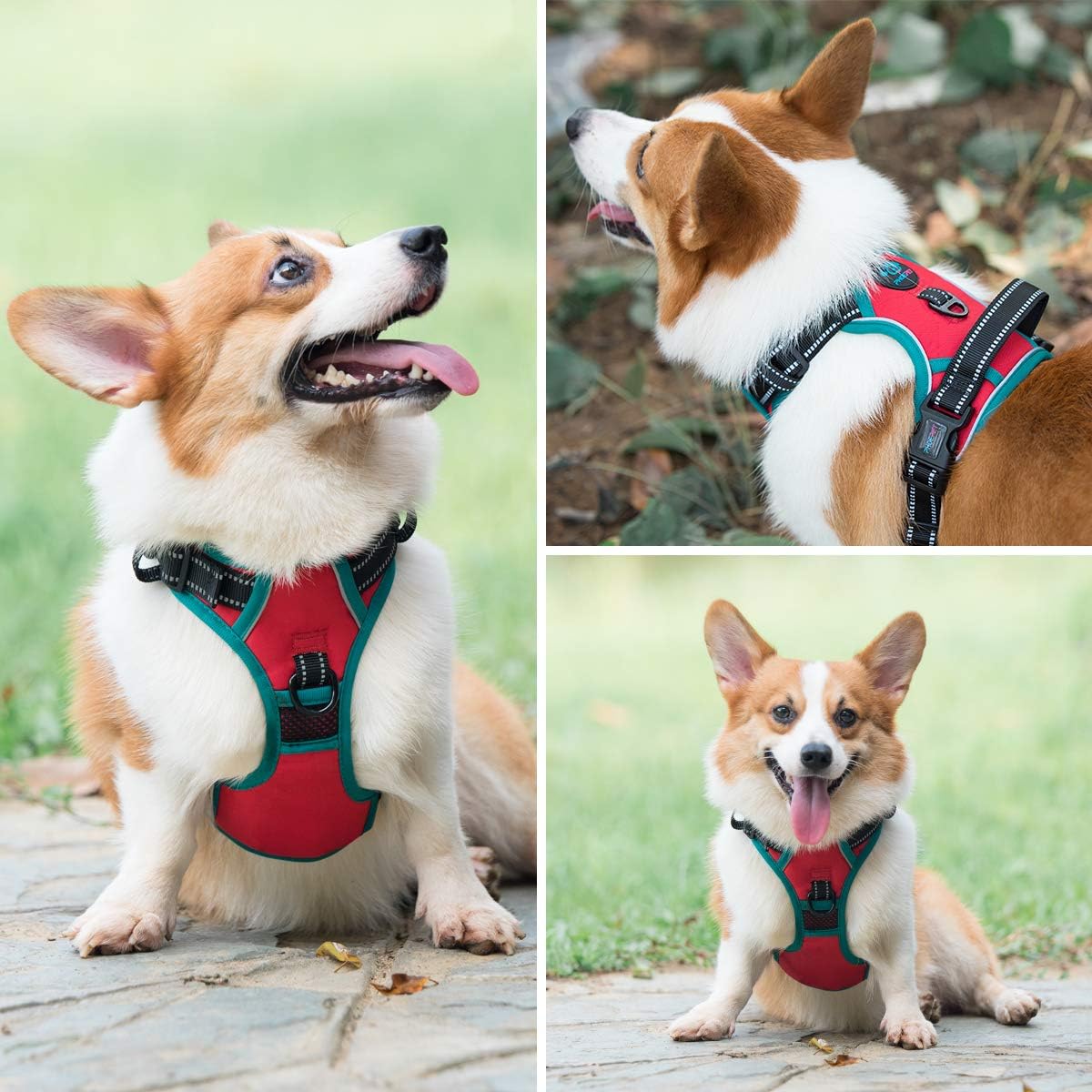 PHOEPET 2019 Upgraded No Pull Dog Harness,3M Reflective Adjustable Vest, with a Training Handle + 2 Metal Leash Hooks+ 3 Snap Buckles +4 Slide Buckles(XS, Red)