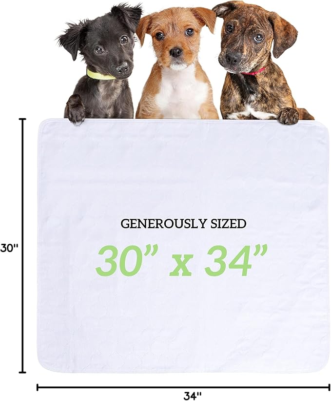GREEN LIFESTYLE Washable Underpads for use as Incontinence Bed Pads, Reusable pet Pads, Great for Dogs, Cats, Bunny & Seniors (48 Pack - 30x34) Blue