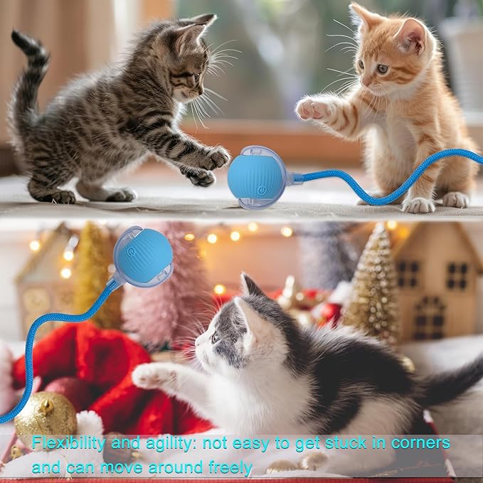 Interactive Cat Dog Toy Ball: Indoor Small Automatic Moving Smart Rolling Fun Pet Game with Led Light and String Tail for Motion Activated, Cute Kitten Puppy Present, Exercise Wheel Supplies (Blue)