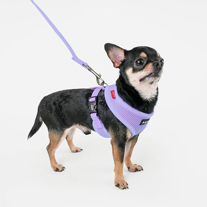 Puppia Soft Dog Harness No Choke Over-The-Head Triple Layered Breathable Mesh Adjustable Chest Belt and Quick-Release Buckle, Violet, Medium
