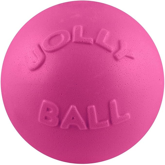 Jolly Pets Bounce-n-Play Dog Toy Ball, 8 Inches/Large, Orange, (Model: 2508 OR)