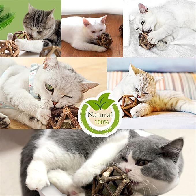 Catnip Toys-2Pcs Natural Silvervine Stick Catnip Ball&Bell Ball-Cat Toys for Indoor Cats- Cleaning Teeth Molar Tools Matatabi Cat Chew Toy-Kitten Toys All Breeds