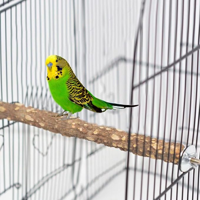 PINVNBY 3Pcs Bird Perches for Cage, Nature Wood Prickly Parrot Stand Toy Paw Grinding Stick for Small Medium Birds Parrot Parakeet Cockatiel Conure Cage Accessory