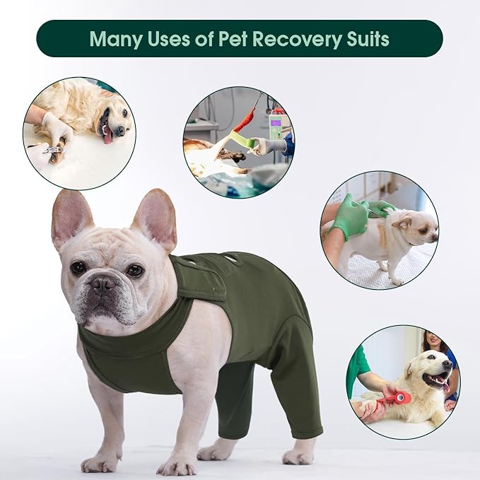 Kuoser Thigh Wound Protective Sleeve for Dogs, Dog Surgery Recovery Suit for Rear Legs, Dog Recovery Sleeve for Female Male Dogs, Dog Onesie After Surgery Pet Surgical Suit for Spay Neuter, Green XL