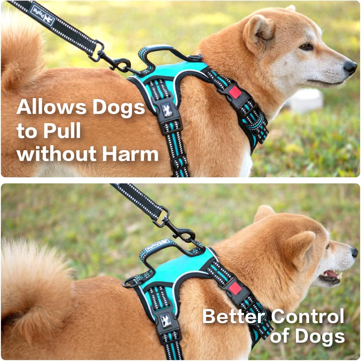 PoyPet No Pull Dog Harness, No Choke Front Clip Reflective Dog Vest with Soft Padded Vertical Handle, 3 Leash Attachments for Small Medium Large Dogs (Mint Blue,L)