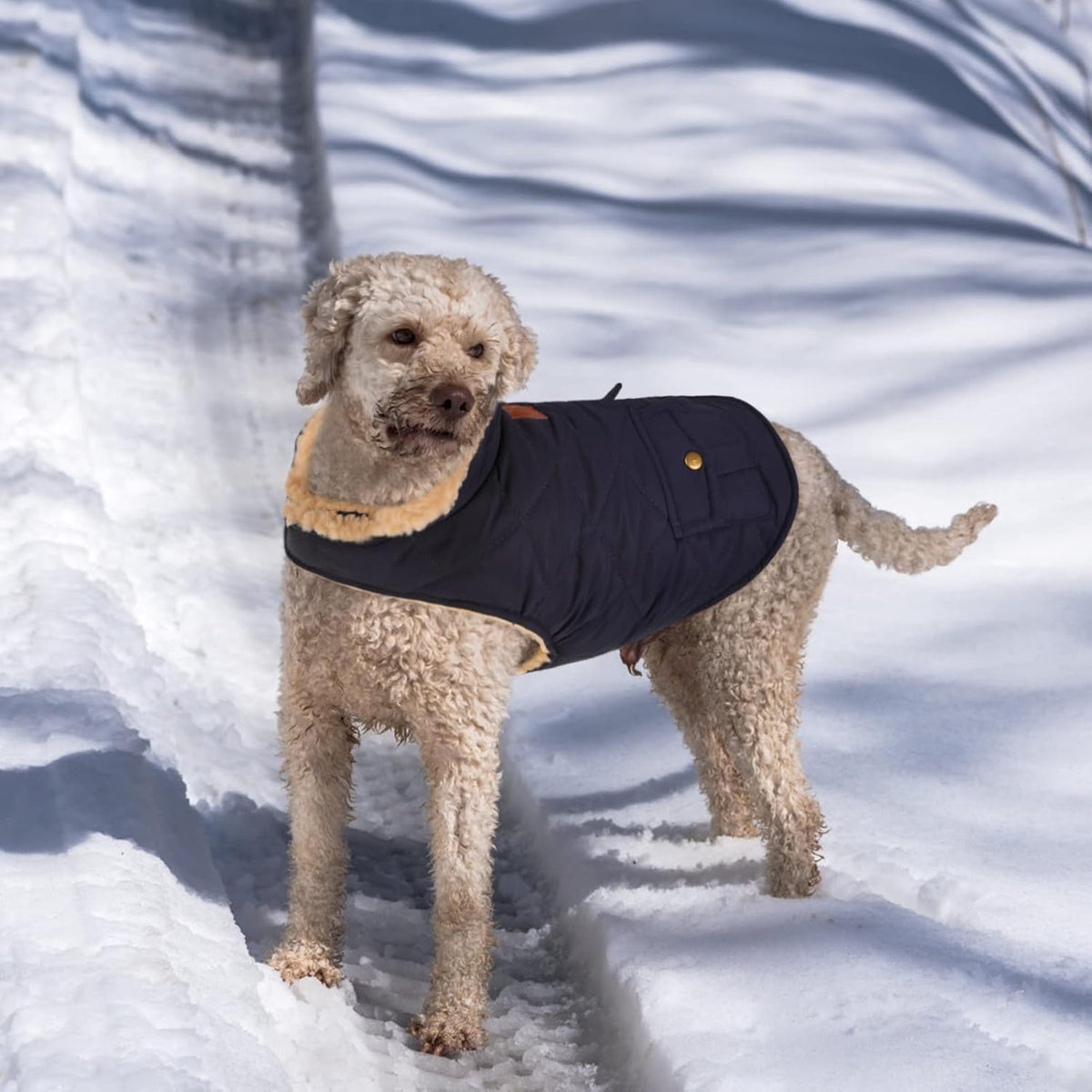 Queenmore Warm Puffer Dog Coat, Quilting Winter Jacket Ultra Thick Plush Lining with Storage Pockets (Dark Navy, Large)