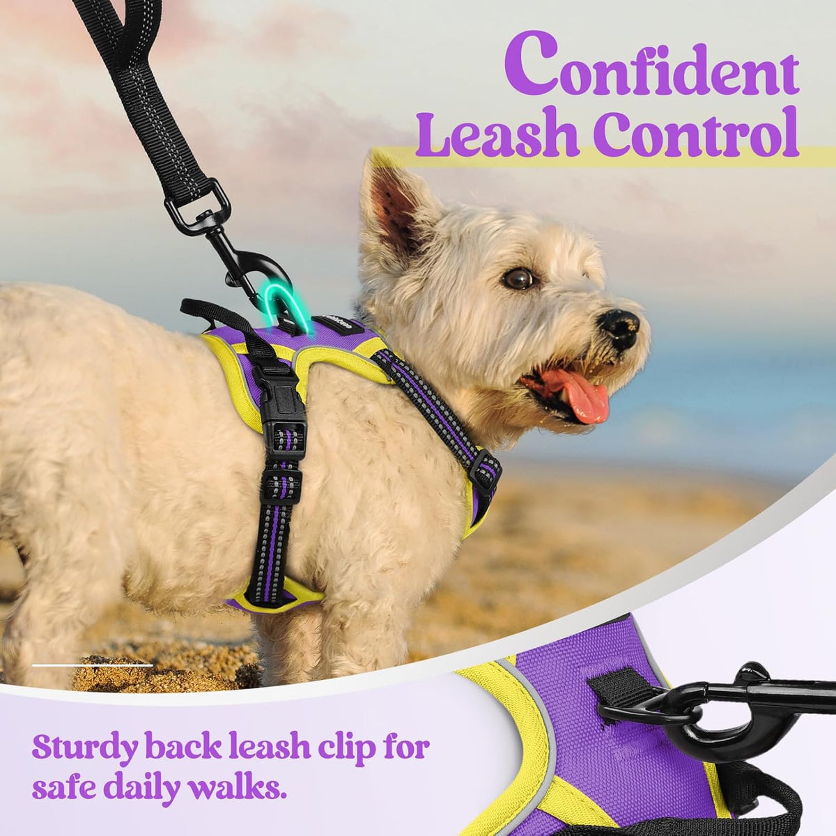 rabbitgoo Dog Harness No Pull with 2 Leash Clips, Adjustable Soft Padded, Reflective Oxford No Choke Pet Vest with Easy Control Handle for Puppy, Purple & Yellow, XS