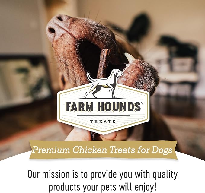 Farm Hounds - Chicken Gizzards - Premium Natural Jerky for Dogs -100% Humanely Raised Chicken - Break-to-Size - Great for Training & Treats - No Added Fillers - Made in USA - 4oz -2 Pack