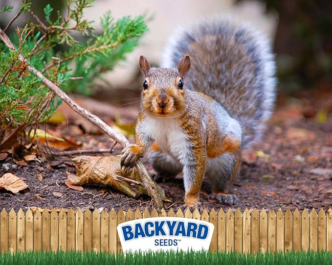 CountryMax Backyard Seeds Squirrel and Friends Wildlife Feed – Non-GMO Mix for Squirrels, Deer, Birds, Rabbits, Chipmunks & More – All-Natural Backyard Animal Food (40 Pounds)