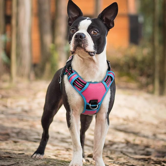 rabbitgoo Dog Harness Small Sized, No Pull Dog Vest with 3 Buckles, Adjustable Soft Padded Pet Harness with Easy Control Handle and Reflective Strips, Rose Pink & Blue, S